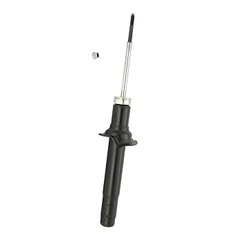 Amazon.com: KYB 341257 Excel-G Gas Strut : Automotive